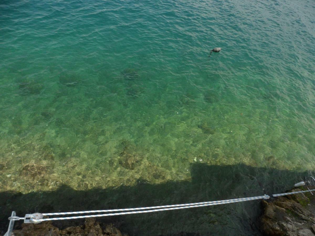 Blue Sea View Διαμέρισμα Ρόβινι Εξωτερικό φωτογραφία